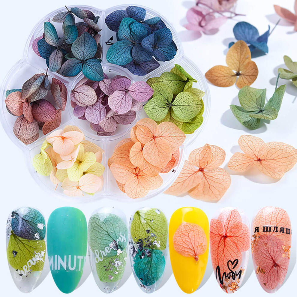Dried Flowers Nail Art Kit with Real Pressed Flowers, 7 Colors for Acrylic Gel and Resin Nails, 45 PCS
