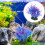 Décor Artificiel Corail Plante Pour Aquarium 8
