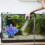 Décor Artificiel Corail Plante Pour Aquarium 5