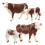 12 Pcs Cow Suit Model Simulation Farm Animals Educational Playset 1