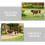 12 Pcs Cow Suit Model Simulation Farm Animals Educational Playset 7