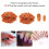 Practice Hand for Acrylic Nails with Adjustable Finger Angles and Secure Tip Hold for Manicure Training 4