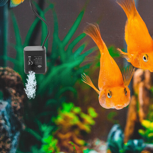 1Pièces À Submersible Pour Animaux En 1