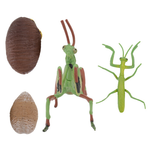 2 Sets Grasshopper Figurine Crafts Mantis Model