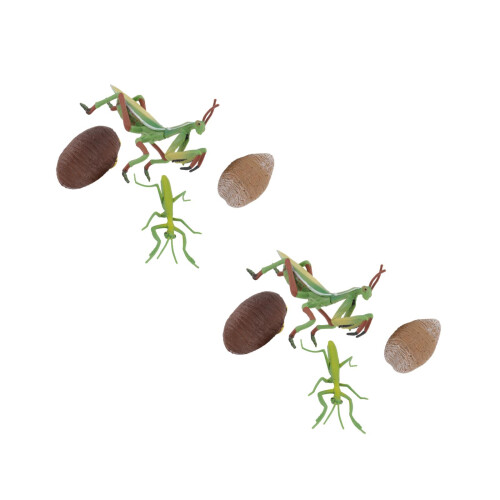 2 Sets Grasshopper Figurine Crafts Mantis Model 2
