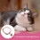 3pcs Collar Dog Accessories Polyester 9