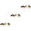 12Pcs High Grade Plastic Wolf Model Set for Kids Education and Play 5
