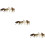 12Pcs High Grade Plastic Wolf Model Set for Kids Education and Play 9