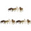 12Pcs High Grade Plastic Wolf Model Set for Kids Education and Play 2