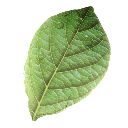2Pcs Green Leaf Pillow Plush Cotton Decorative Sofa Nap Pillow 2