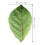 2Pcs Green Leaf Pillow Plush Cotton Decorative Sofa Nap Pillow 10