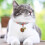 3pcs Collar Dog Accessories Polyester 6