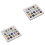 2pcs Child Natural Specimen Box 3