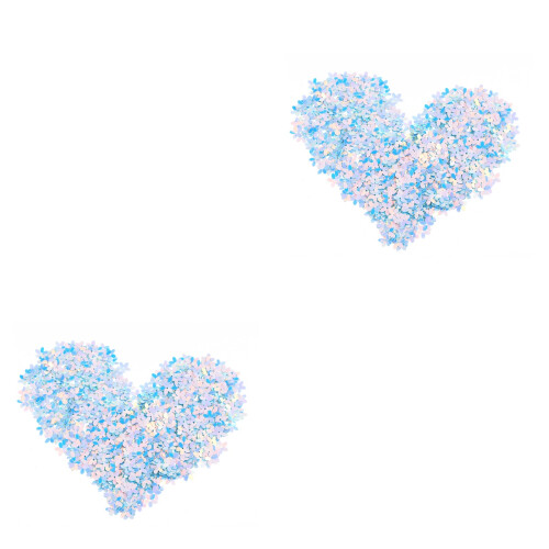 1600 Pcs Sequin Clothing Pattern Decorate 2