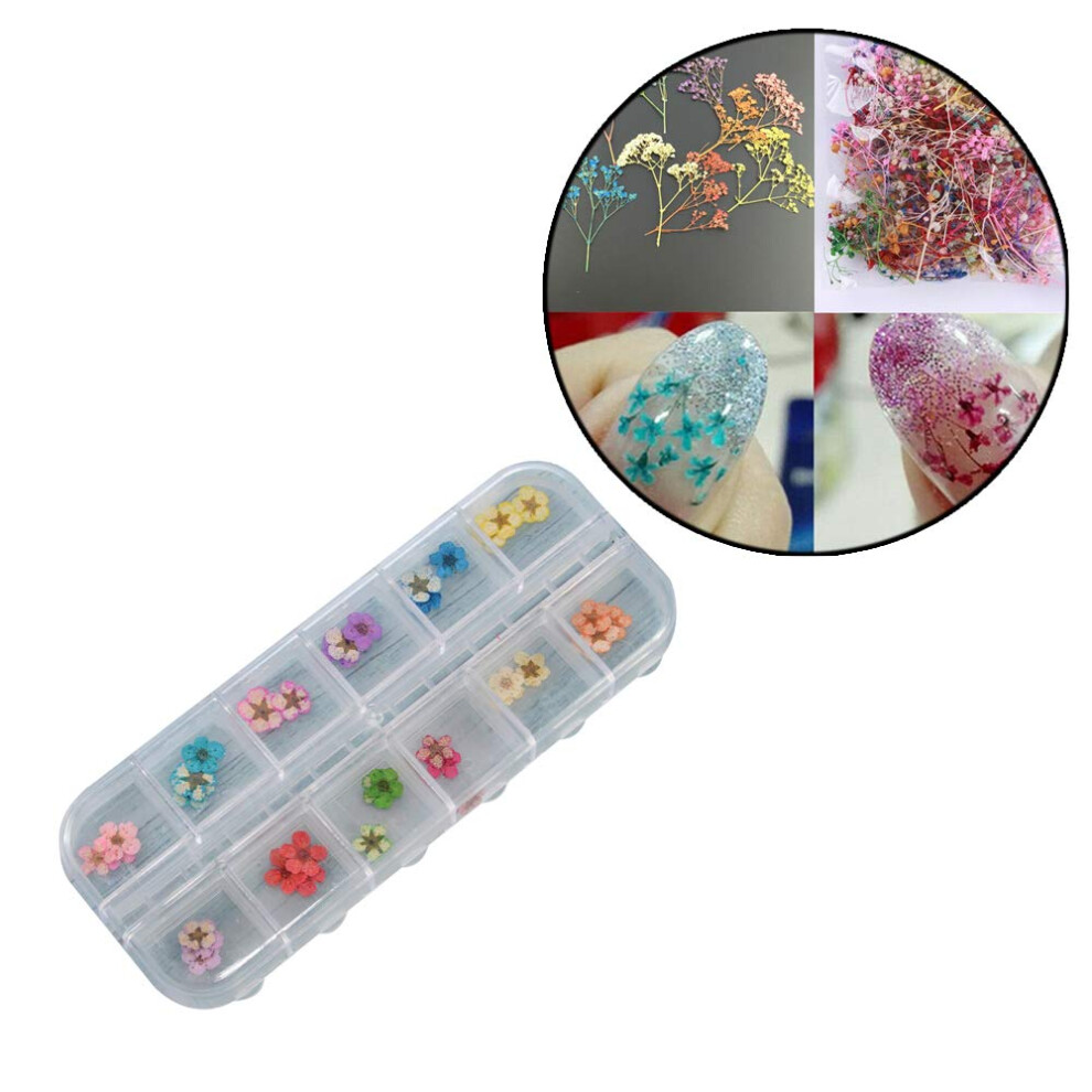 Mixed Color Nail Art Dried Flowers 3D Real Babysbreath Decoration for UV Gel Nail Tips