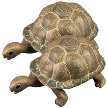 8 Pcs Realistic Tortoise Turtle Figurine Kids Ocean Animal