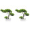 2 Pieces Bonsai Tree Artificial Home Fake Pine Imitation Ornaments 4