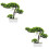 2 Pieces Bonsai Tree Artificial Home Fake Pine Imitation Ornaments 8