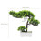 2 Pieces Bonsai Tree Artificial Home Fake Pine Imitation Ornaments 10