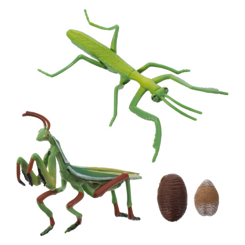 3 Sets Mantis Life Cycle Figure Insect Education Prop