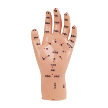 (16x8cm,Skin Color)Hand Mdel Multifunctional Educational Lab Supplies Chinese Medical Meridians 16.5x8cm