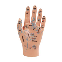 (16.5x8cm,Skin Color)Hand Mdel Multifunctional Educational Lab Supplies Chinese Medical Meridians 16.5x8cm