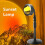 Lampe de projection de coucher de soleil AMERTEER 16 couleurs avec télécommande 4