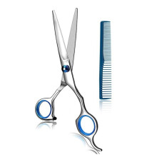 Padroneggia la tua arte, forbici per tagliare i capelli in acciaio inossidabile, vite di tensione regolabile per una vestibilità personalizzata,