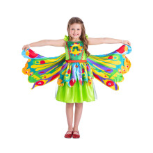 (Toddler (Age 1-2)) The Very Hungry Caterpillar Butterfly Costume Dress
