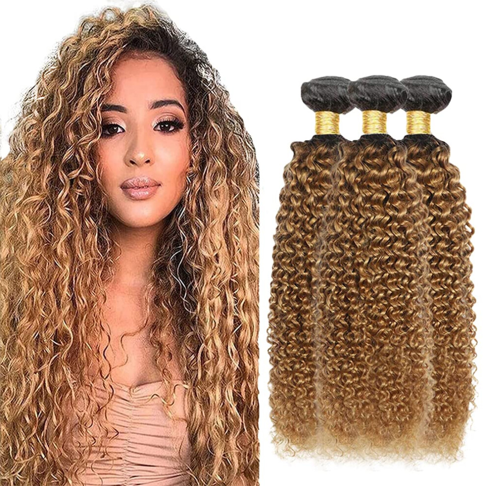 Unisex Brazilian Virgin Ombre Kinky Curly Hair Bundles 1B/27 Honey Blonde Weave 22 24 26 Inch