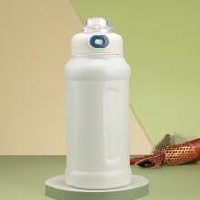32oz Vakuumisolierte Wasserflasche mit Strohhalm, doppelwandige, auslaufsichere Thermoskanne aus Metall, kompatibel mit [Marke]