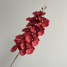 Federra Water Velvet Phalaenopsis Hoogwaardige Simulatie Chinese Phalaenopsis Bruidsbloem Kunst Woondecoratie Hotel Decoratie Kunstbloemen 2 stuks