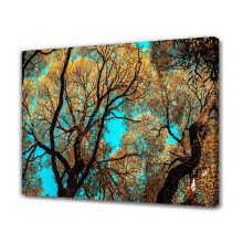 Hoge bomen tegen een helderblauwe lucht, canvas poster, slaapkamerdecoratie, sportief landschap, kantoordecoratie, cadeau, ingelijst, 30x45 cm