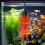 Aquarium Heater with Smart Temperature Control, USB Powered for Small Betta Fish Tanks 2