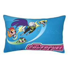 The Powerpuff Girls Pillowcases, Super Soft and Cozy Fuzzy Pillow Cases with Zipper, 20x30 Inches, Bedroom, Sofa, Couch,All Seasons Pillow Case