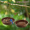 Ταΐστρα πουλιών Birdbaths βαρέως τύπου κρεμαστές μπανιέρες πουλιών για εξωτερικούς 6