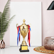 Award Trophy Rewards Large Trophy Metal Trophy Cup Keepsake for Celebration Event Football Soccer Baseball Competition 29cm