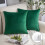 Phantoscope 18" x 18" Modern Dark Green Polyester Throw Pillow , ( 2 Count) 1