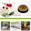 Guangmc Rustfrit Stål Blomsterarrangement Holder 6