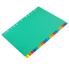 Eease 21 stuks kantoorbinders, boekverdelers, afneembare bindtabbladen, notitieboekbinderverdelers
