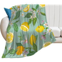 Fashion Decor Blanket, Lightweight Warm Throw for Bed Sofa Home Travel, Compatible with Tropical Fruits Mint Green Leaves Flowers Watercolor Lemon