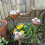 Quinlirra Garden Hook Iron Crafts Courtyard Bee Water Feed Εξωτερική σκουριά Ράβδος Ένθετο Σιδήρου Δώρα για 3
