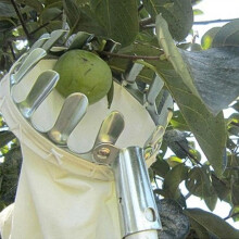 leaveforme Garden Fruit Picker Metal Head Cloth Bag compatible with Apple Pear Peach Picking Catcher Tool