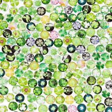 1Box 1 Bag Printed Glass Cabochons for DIY Jewelry Making Half Round with Clover Patterns Mixed Color 12x5mm 200pcs/bag 1 bag/box