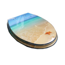 Resin Toilet Seat Soft Close Easy Clean Universal Fit U V O Shape with Stainless Steel Hinges