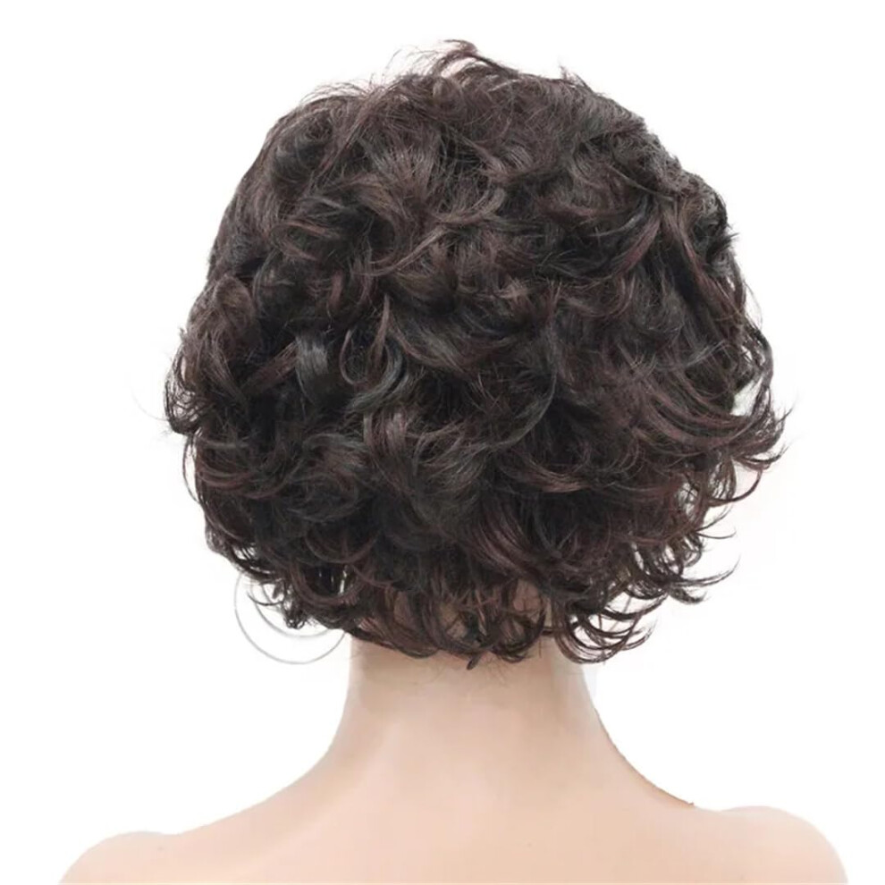 Short Curly Wig for Women Brown Highlights Synthetic Hair Ready To Wear Natural Volume Look