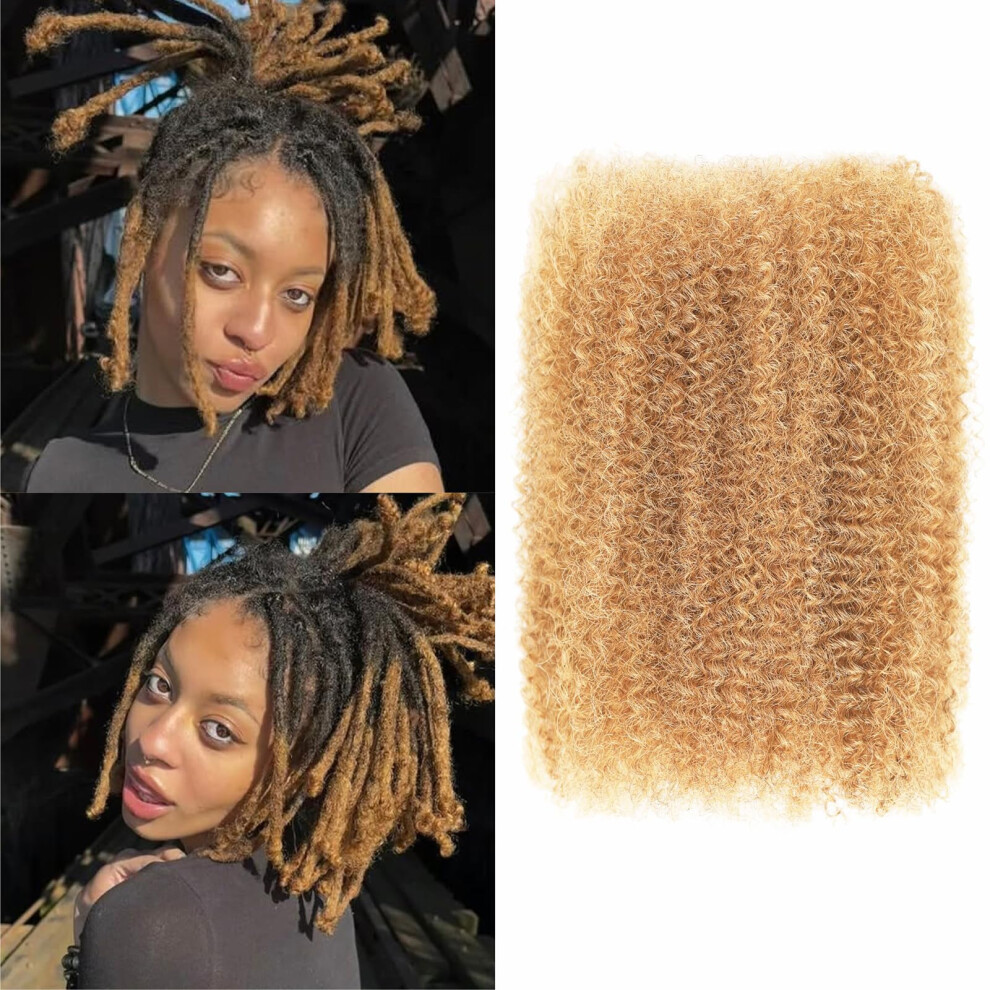 Unisex Afro Kinky Bulk Human Hair 10 Inch Color 27# For Dreadlock Extensions Loc And Twists
