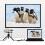 Μετατροπέας καλωδίου HD1080P DP σε VGA 1,8 μέτρων για υπολογιστή και φορητό υπολογιστή 7