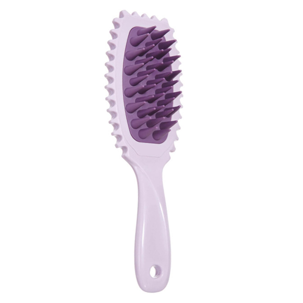 Long Handle Scalp Massage Brush for Hair Growth Wet and Dry Use Shampoo Brush with Ergonomic Grip