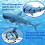 Robot shark swimming in water 2